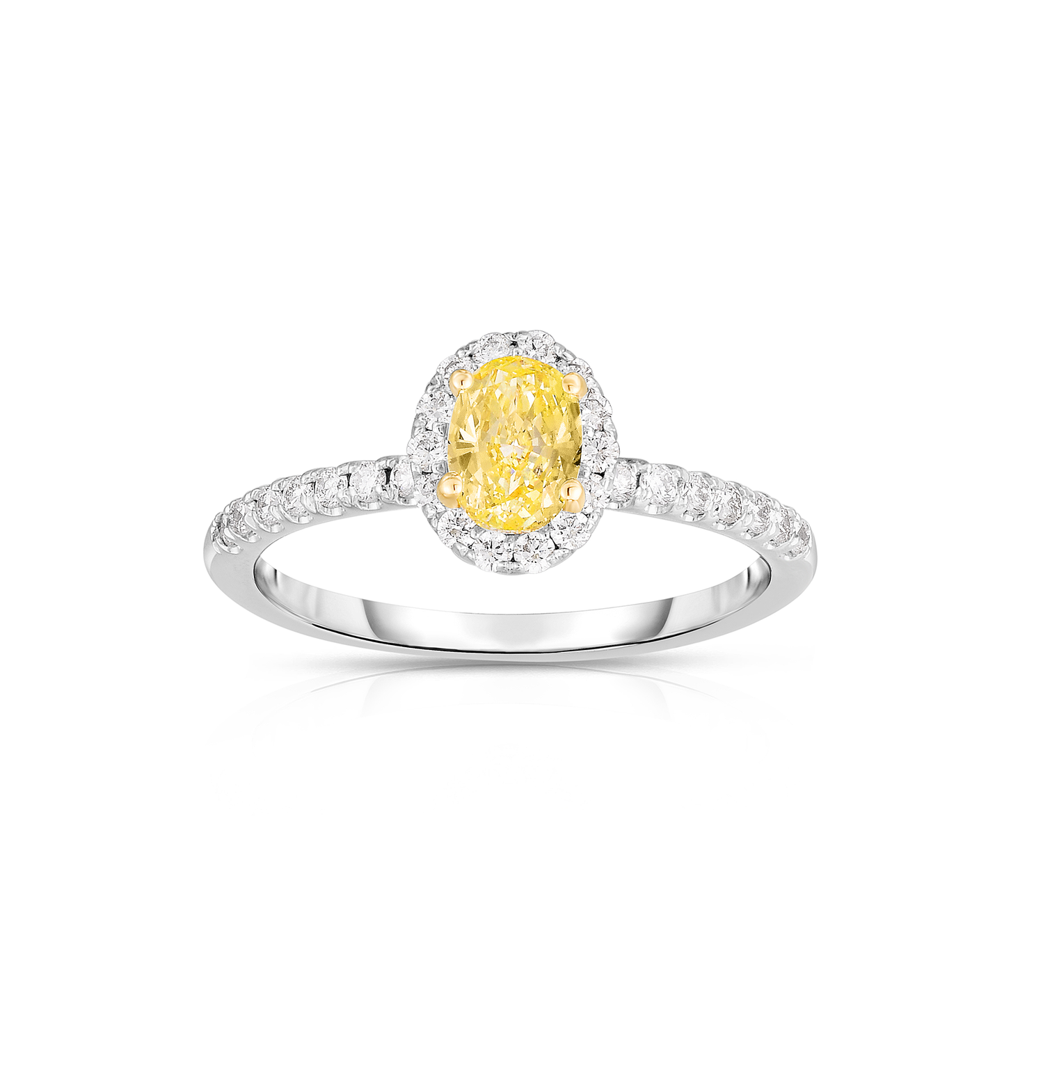 Sabel Collection Yellow Diamond and White Diamond Halo Ring